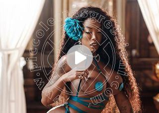 Video trans campbell milano