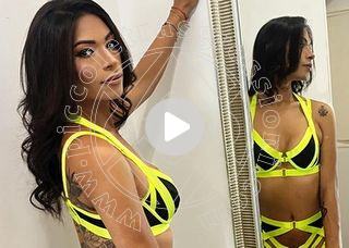 Video trans gabby dotata xxl pavia